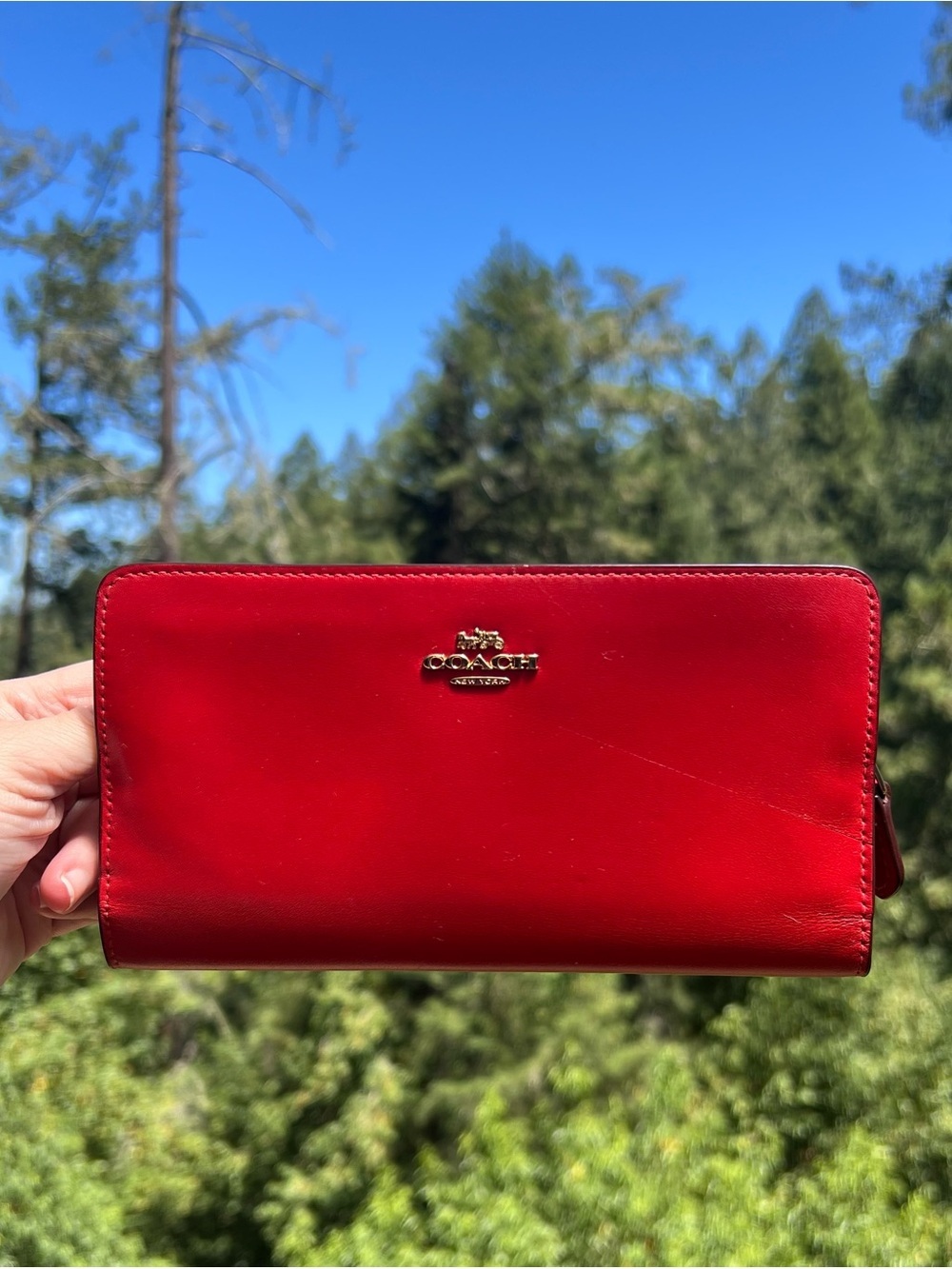 COACH Red Smooth Leather Slim Wallet Clutch CC Holder Gold Hardware AUTHENTIC